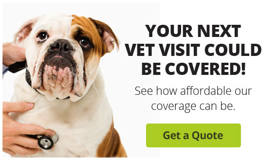Your Next Visit Could Be Covered! See how affordable your coverage can be. Get a Quote