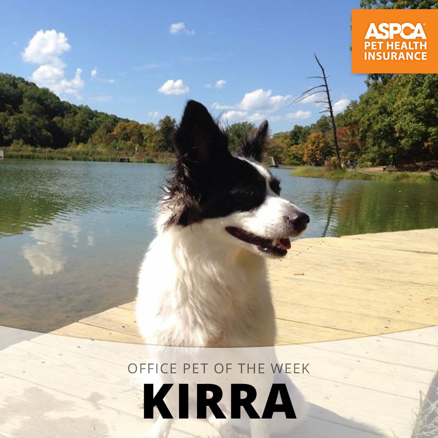 kirra.jpg