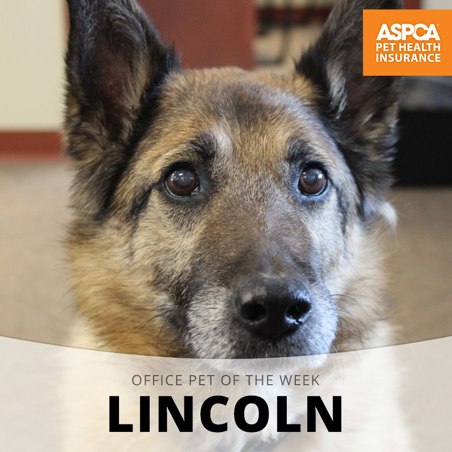 lincoln.jpg