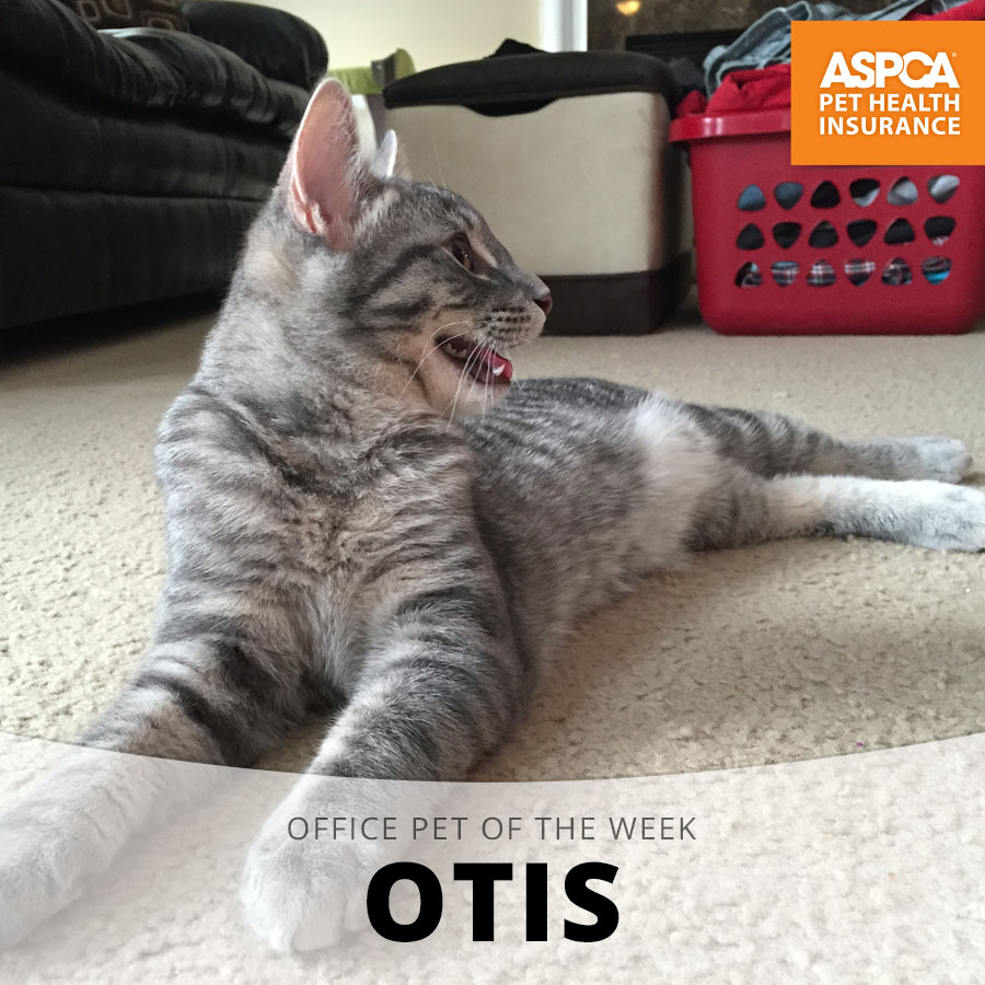 otis.jpg