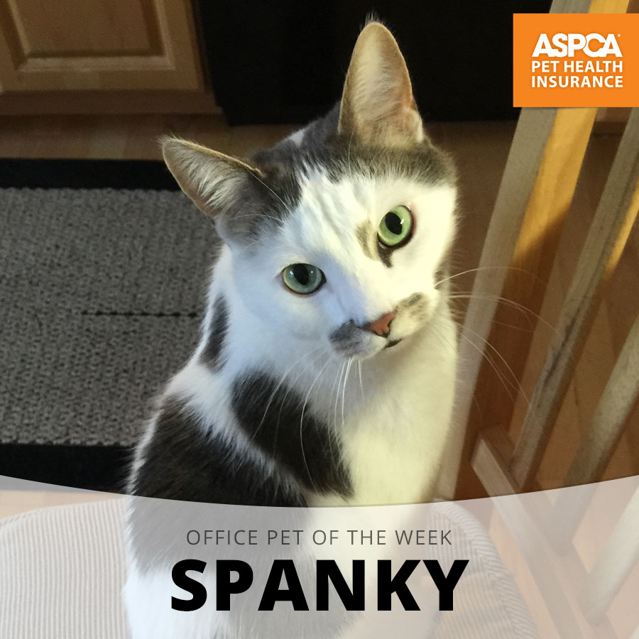 spanky.jpg