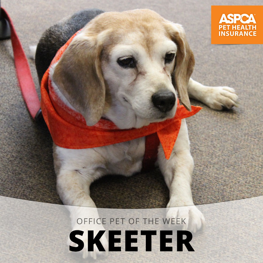 skeeter.jpg