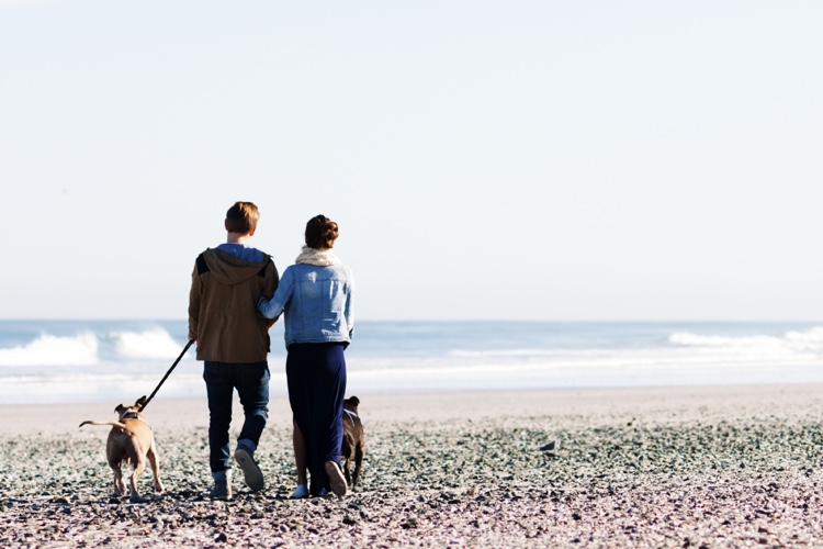Top 10 PetFriendly Honeymoon Destinations