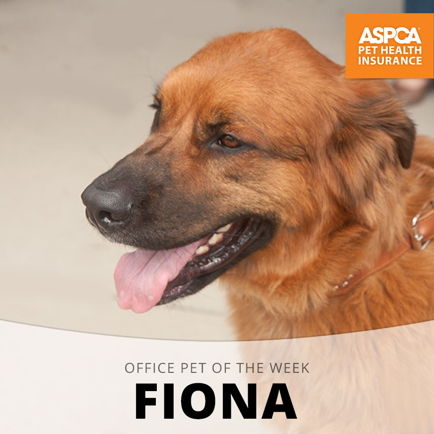 Fiona.jpg