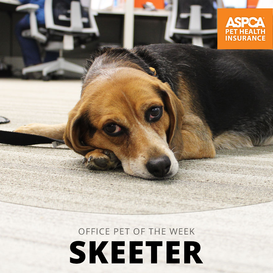 Skeeter.jpg