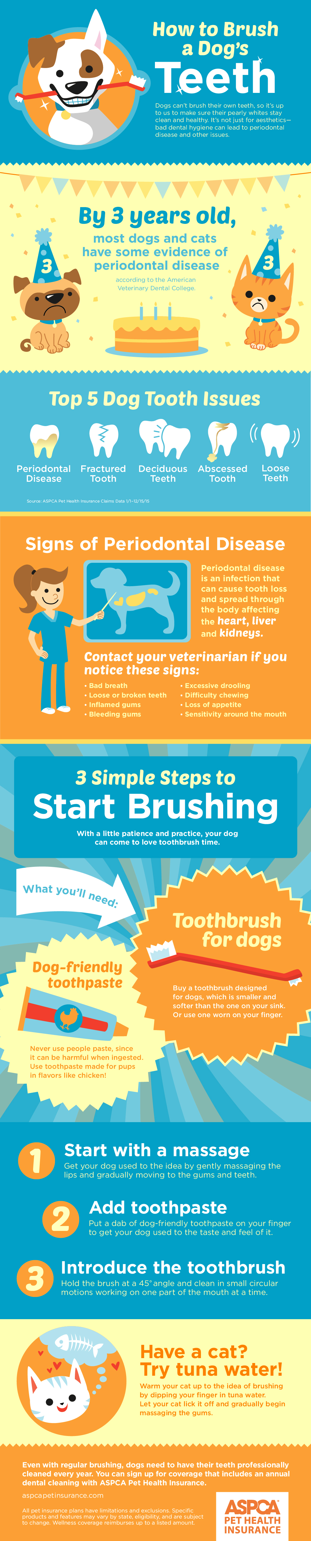 How To Brush A Dog S Teeth