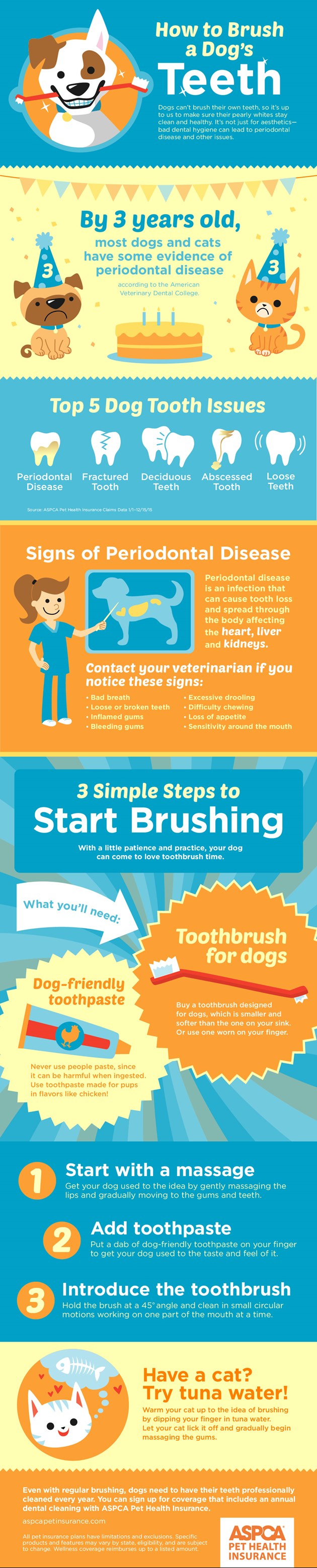 Blog : How to Brush