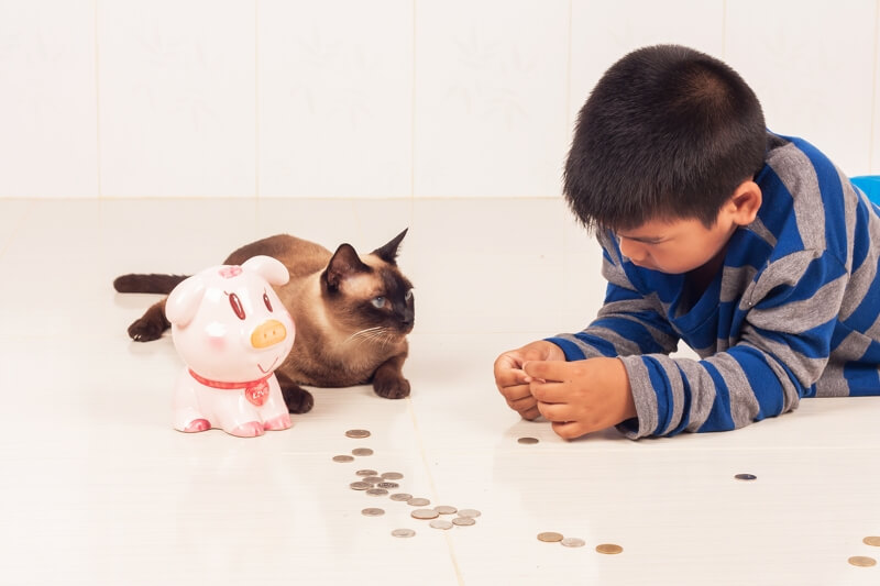 average cost of puppy costs of pet parenting average cost of puppy costs of pet parenting